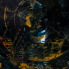 CITADEL 7 – Image 2