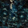MOONRA – Image 3