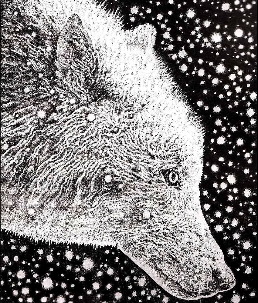 WOLFEN